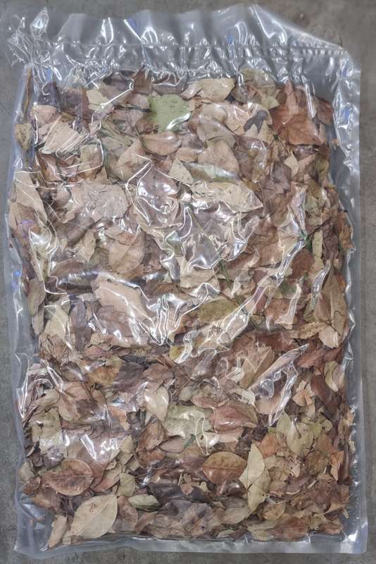 Leaf Litter (600 x 400 bag)