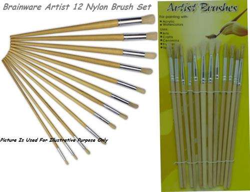 Brainware Artist 12 Nylon Brush Set