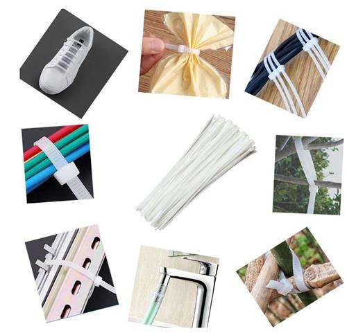 Noble Nylon Cable Ties 2.5 x 200mm Pack of 100 White