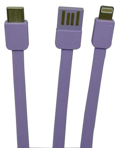 Viaking Power Bank 10000 mAh Capacity - VGPBK10AHPLE - Purple
