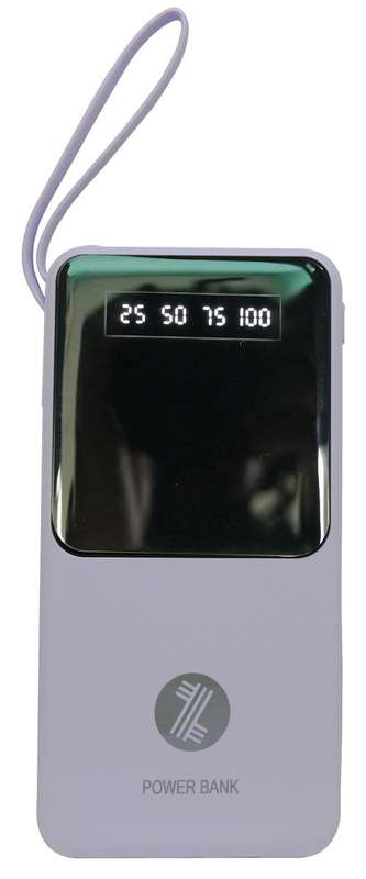 Viaking Power Bank 10000 mAh Capacity - VGPBK10AHPLE - Purple