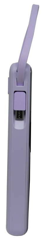 Viaking Power Bank 10000 mAh Capacity - VGPBK10AHPLE - Purple