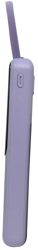 Viaking Power Bank 10000 mAh Capacity - VGPBK10AHPLE - Purple