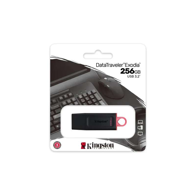 Kingston 256GB USB 3.2 Datatraveler Exodia Black and Pink