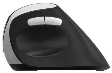 Rapoo EV250 Ergo Wireless Optical Mouse