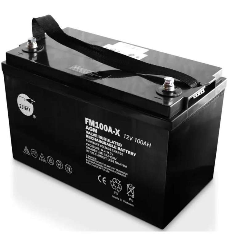 RCT Senry 6FM100A-X Fully-Seal Lead Acid
