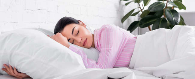 Pure Pleasure Queen Fullfit Sherpa Fleece Electric Blanket