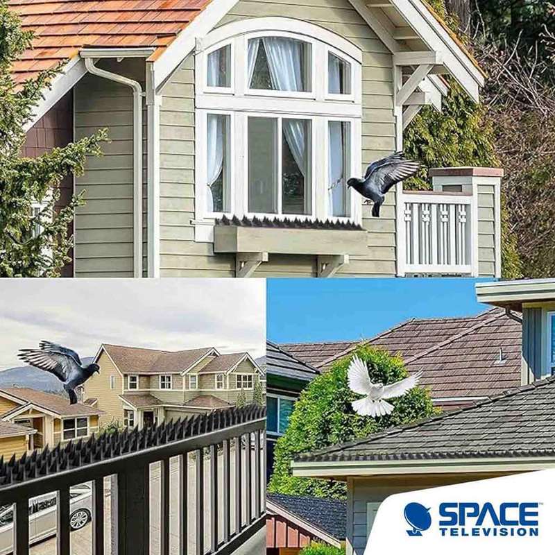 Space TV Anti Burglar / Animal / Bird Security Wall Spikes - Black
