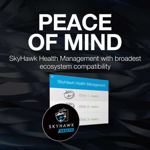 Seagate 8TB SkyHawk AI 7200 rpm SATA III 3.5" Internal Surveillance HDD