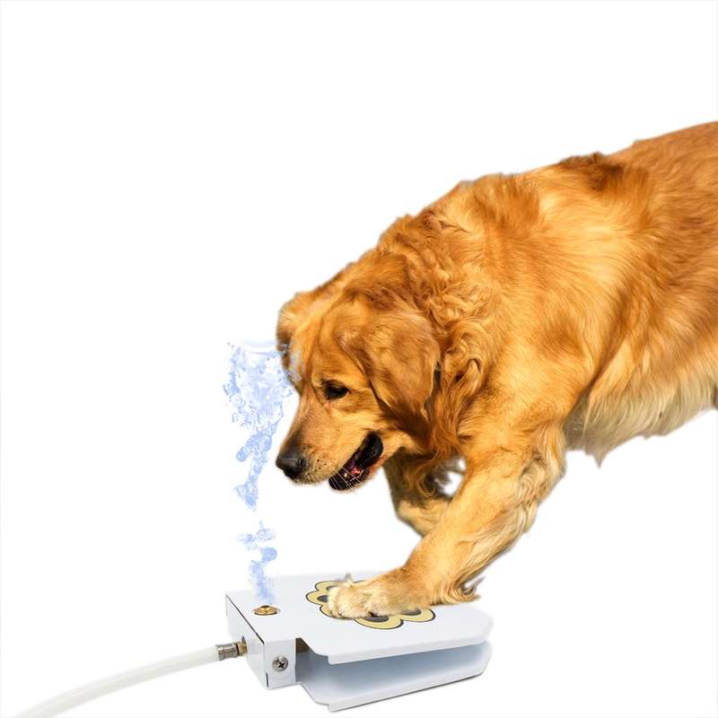 PetEnjoy Dog Push Pedal Water Fountain