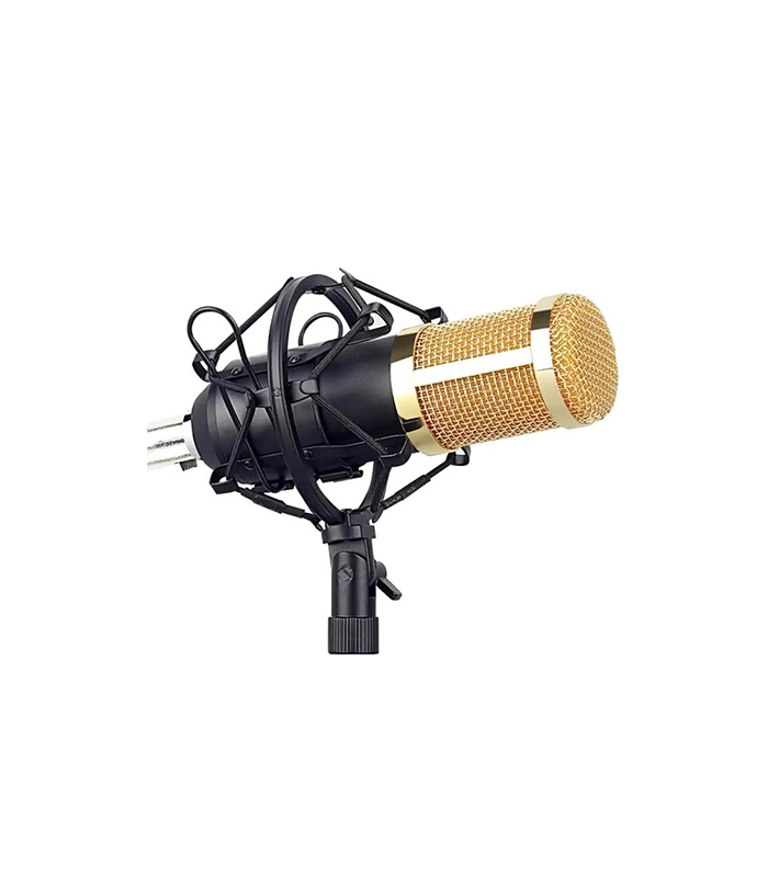 Professional Recording Microphone Soundcard Set M800 Pro Condenser Microphone Kit V8 Sound Card Gold