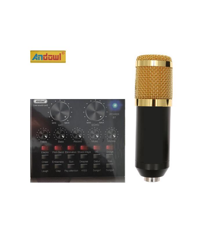 Professional Recording Microphone Soundcard Set M800 Pro Condenser Microphone Kit V8 Sound Card Gold