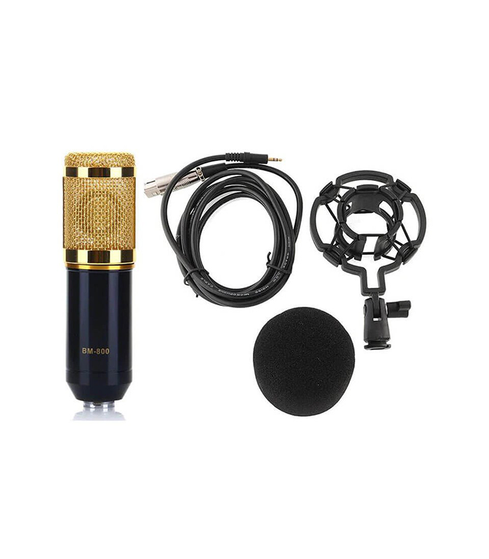 Professional Recording Microphone Soundcard Set M800 Pro Condenser Microphone Kit V8 Sound Card Gold