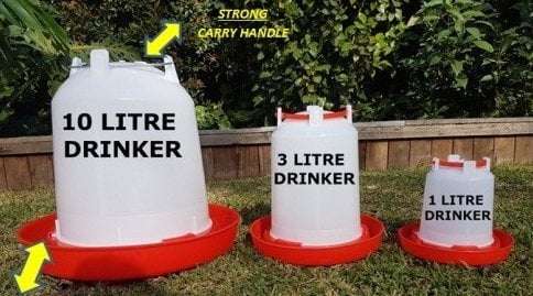 Chicken Drinkers