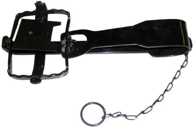Animal trap black