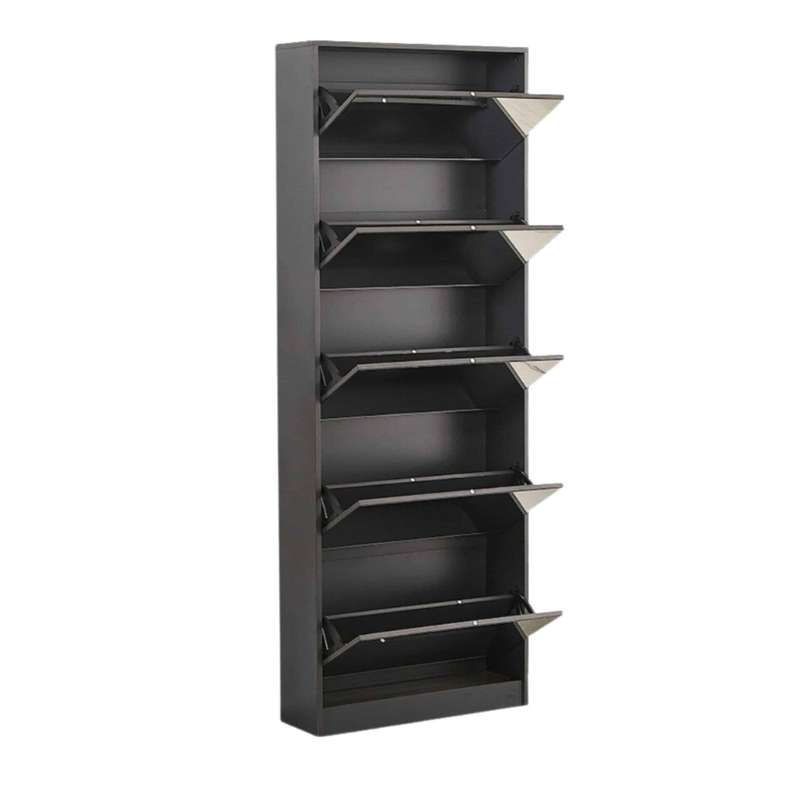 Mirror Shoe Cabinet