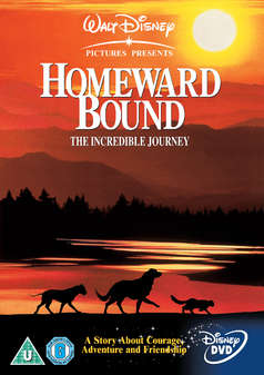 Homeward Bound: The Incredible Journey (DVD)