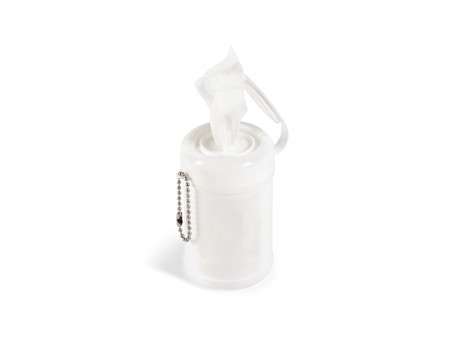 Wipeout wet wipes (HWB-9485)