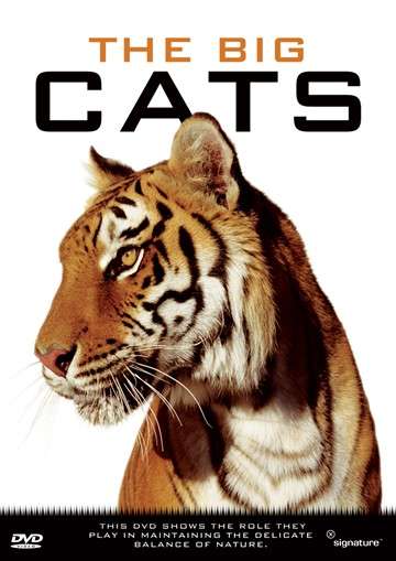Big Cats, The (DVD) - stock on hand