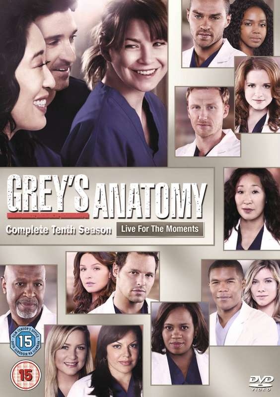 Greys Anatomy - Season 10 (DVD Box Set)