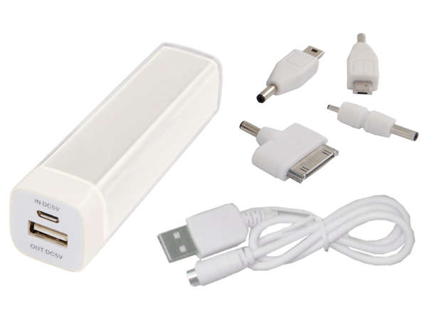 Power Bank - white (P2239W)
