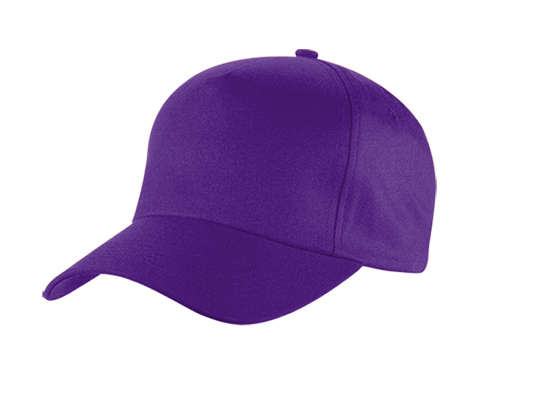 Superior 5 Panel Cap - purple