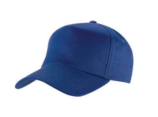 Superior 5 Panel Cap - royal blue