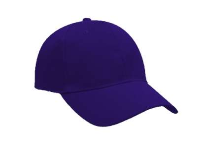 Classic 6 Panel Cap - purple
