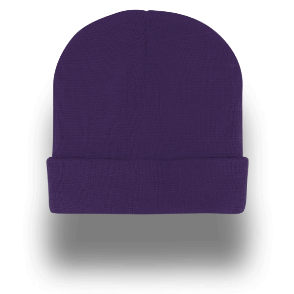 Aspen Beanie - purple