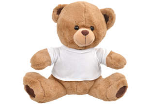 Nick Teddy Bear