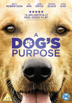 Dogs Purpose, A (Dennis Quaid) (DVD)