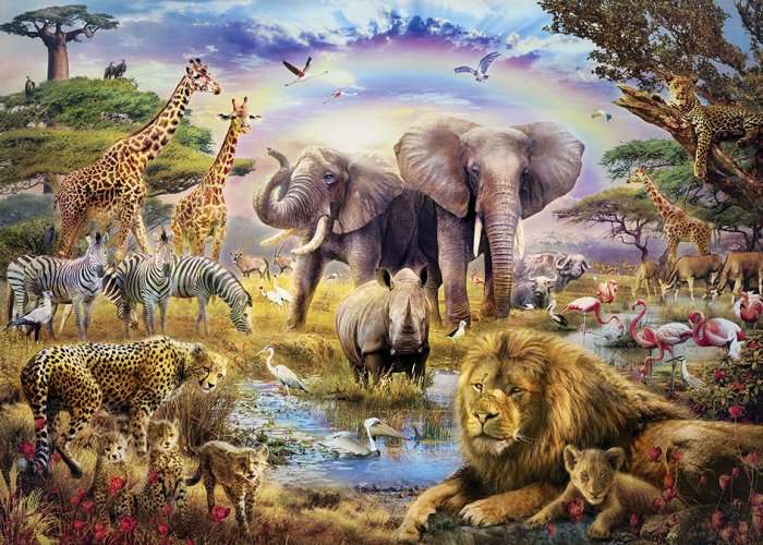 Rainbow Waterhole (100pc Puzzle)
