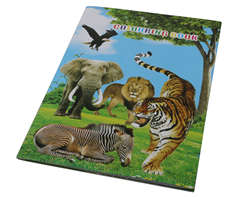 Wildlife Stickers and Colouring Book (ST322)