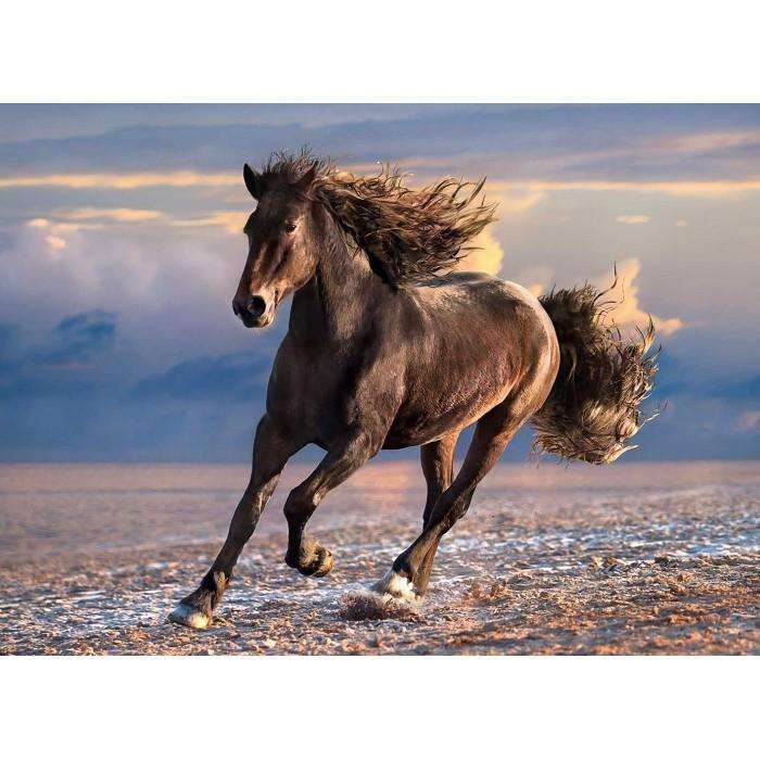 Free Horse (1000pc Puzzle)