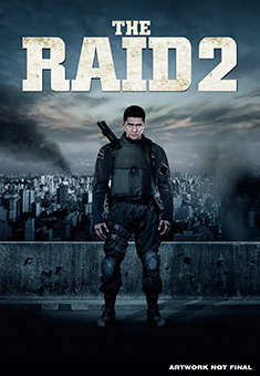 Raid 2, The (DVD)