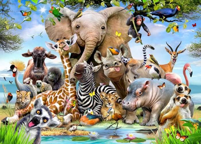Africa Selfie (1000pc Puzzle)