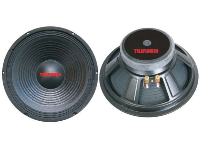 Telefunken 300W 12inch Subwoofer (TLW-1232)