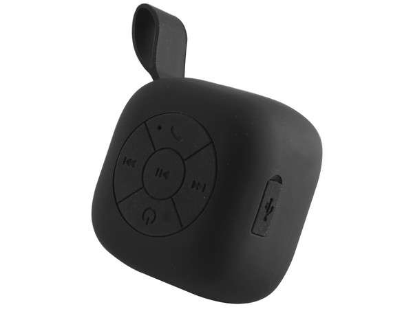 Bluetooth Multimedia Speaker (P2492B)