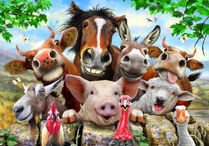Farm Selfie (36pc Puzzle) (RGS349)
