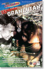 Be The Creature - Expedition Orangutan (DVD) - stock on hand