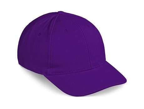 Altitude Pro Basic peak - purple