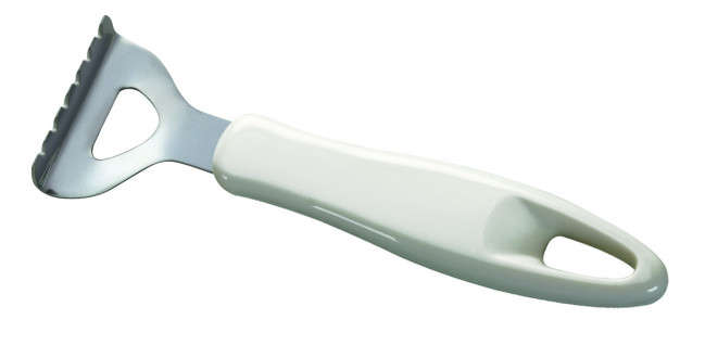 Tescoma Presto Fish Scraper (420120) - stock on hand