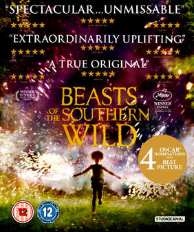 Beasts of the Southern Wild (Blu Ray)