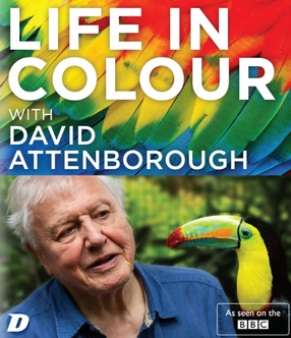 Life In Colour With David Attenborough (Blu Ray)