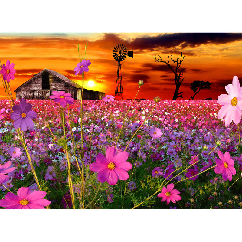 Cosmos In Parys (1500pc Puzzle)
