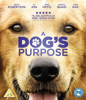 Dogs Purpose, A (Dennis Quaid) (Blu Ray)