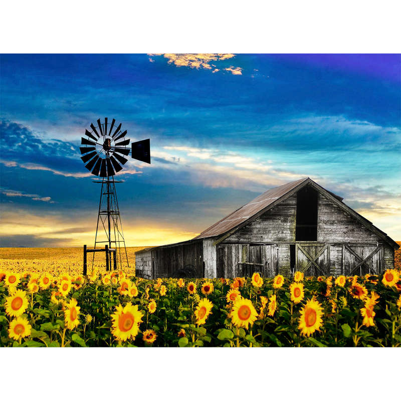 Sunflowers In Clarens (1500pc Puzzle)