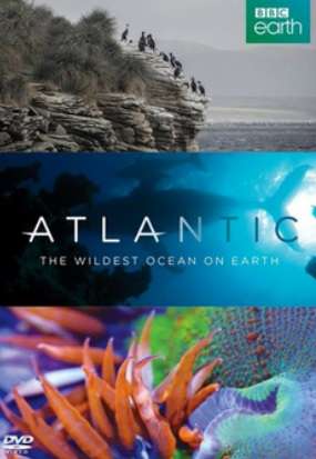 Atlantic - The Wildest Ocean on Earth (DVD)