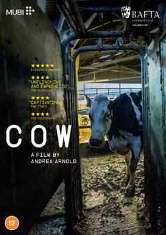 Cow (DVD)