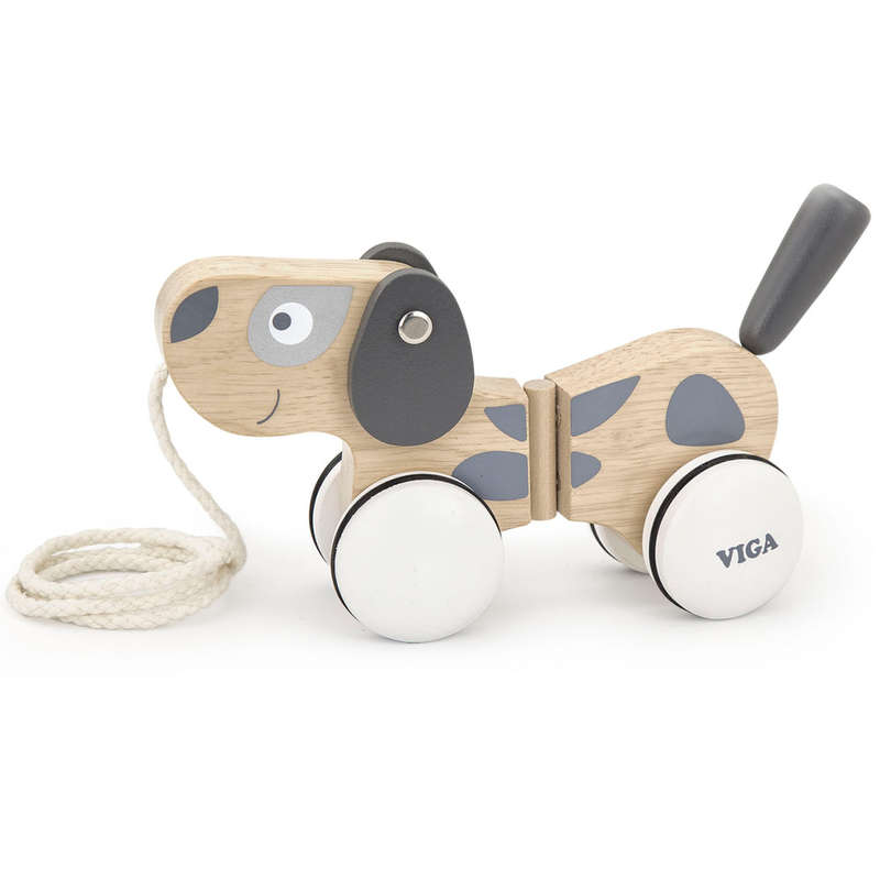 Pull Along Puppy (RGS51614)